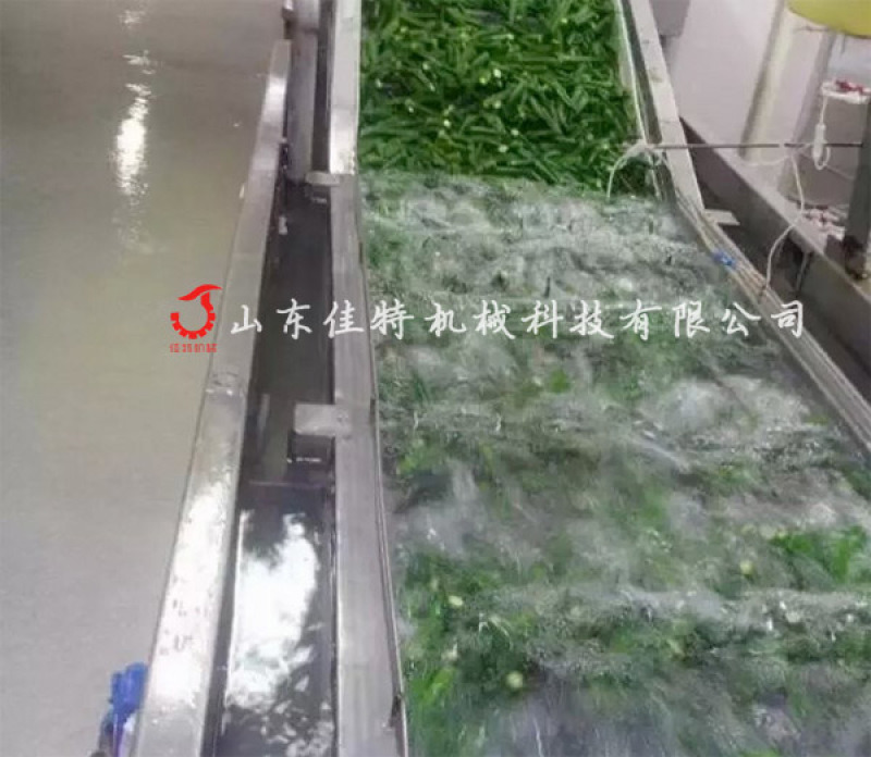 可加工定做的蔬菜清洗機, 凈菜加工  清洗設(shè)備