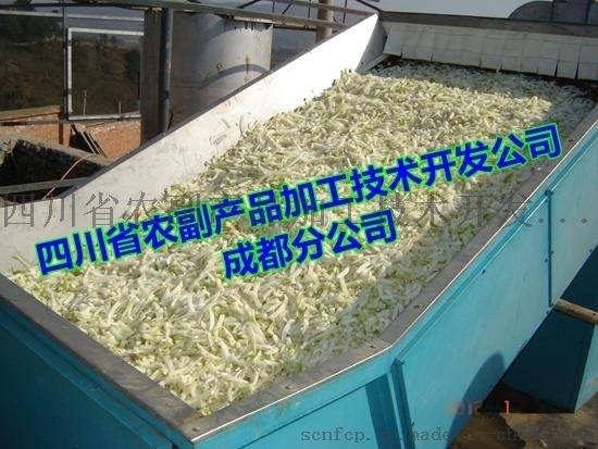蘿卜烘干機，蘿卜干快速烘干機