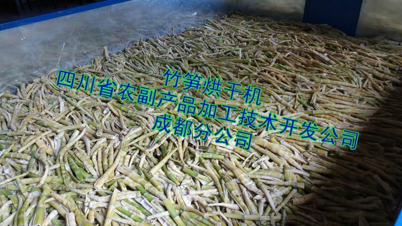 鹽漬筍干烘干機 宜賓筍干烘干設備