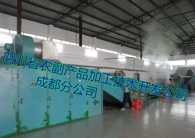 【茶用菊花烘干機】小  花烘干機，大  花烘干機