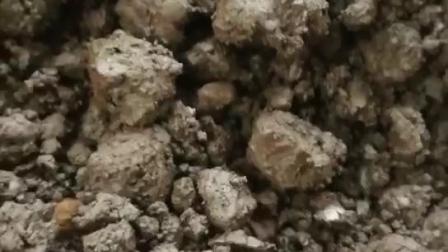 廠家直銷全不銹鋼XSG系列旋轉閃蒸干燥機