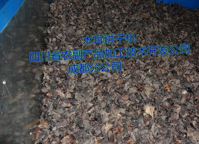 木耳烘干機(jī)，黑木耳烘干機(jī)，木耳快速烘干機(jī)