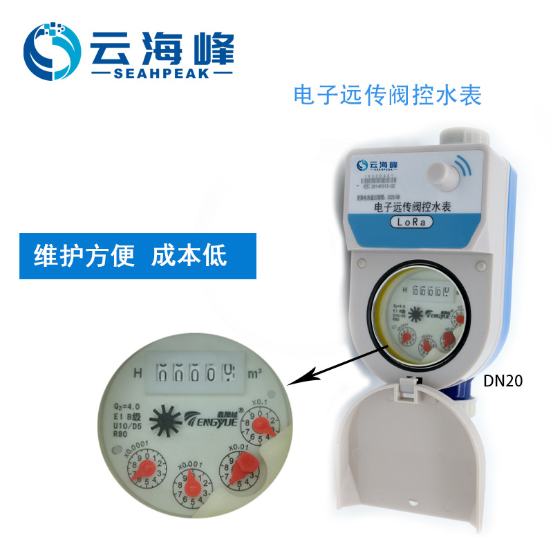小口徑電子遠(yuǎn)傳智能水表