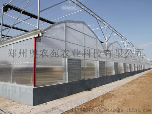 信陽建設(shè)溫室大棚價格