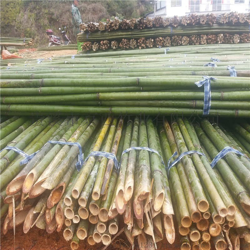 綠化工程、園林苗圃、造地工程用的大小竹竿