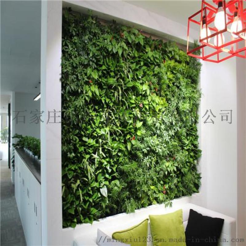 張家口綠植植物墻報(bào)價(jià)